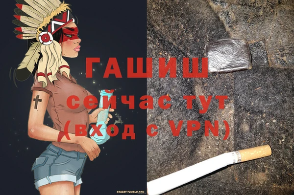 PSILOCYBIN Белокуриха